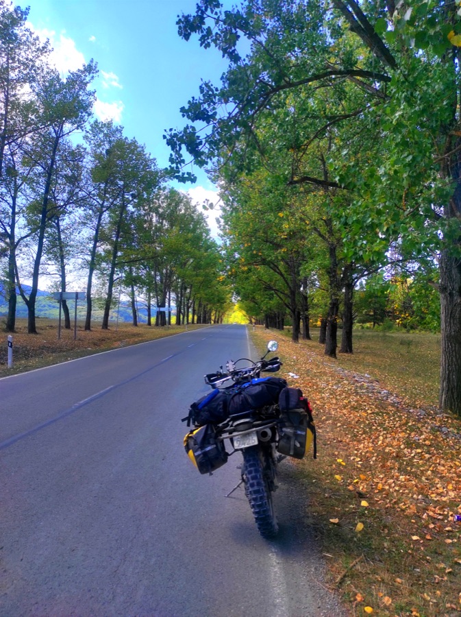 Suzuki DR-Z400S parked under roadside trees