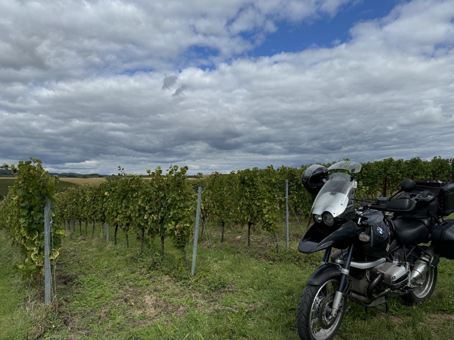 BMW R1150GS beside vineyard rows